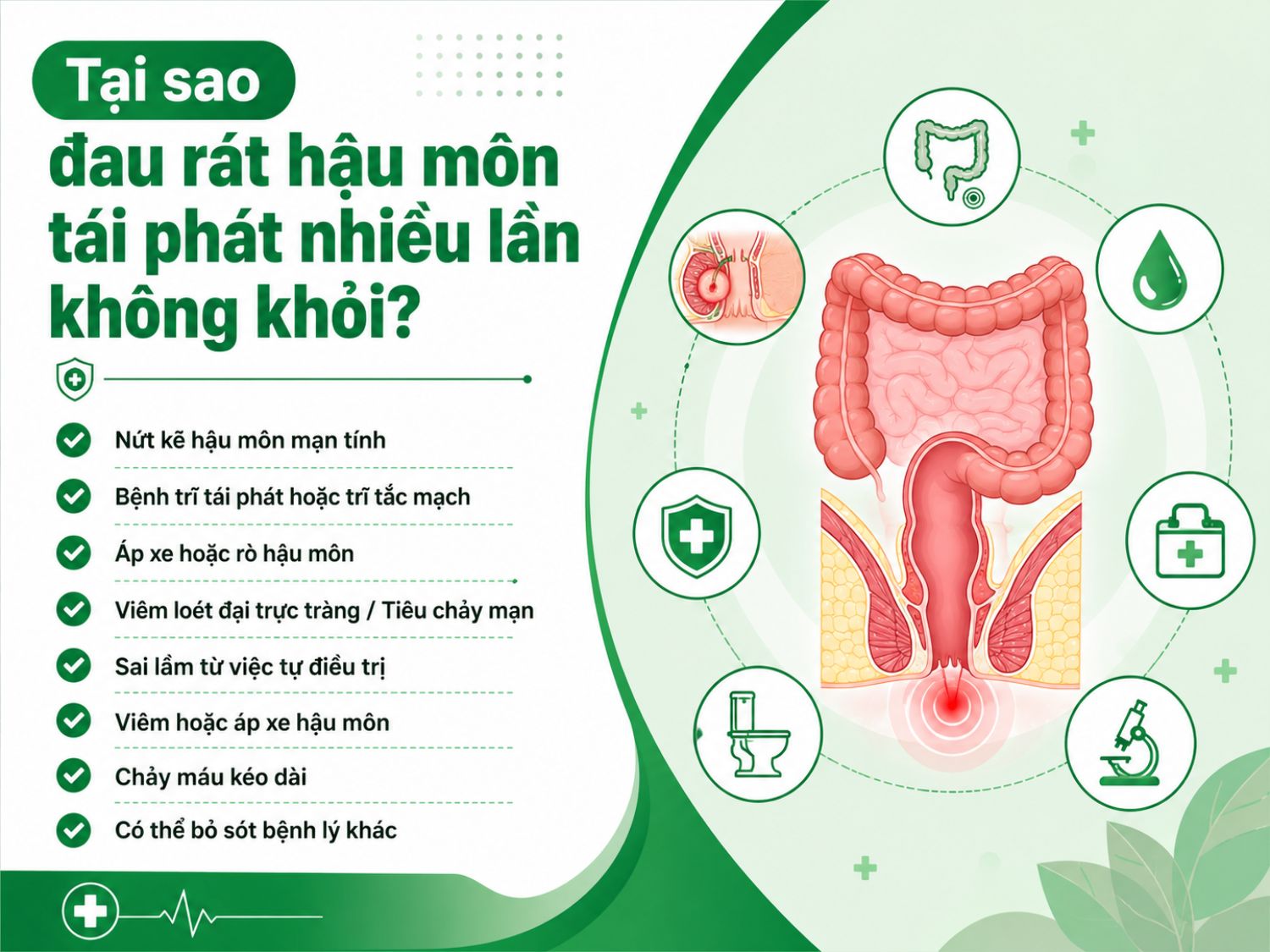 Đau rát hậu môn kéo dài hoặc tái phát có thể liên quan đến nứt kẽ hậu môn mạn tính, trĩ tái phát, áp xe – rò hậu môn, viêm loét đại trực tràng hoặc điều trị chưa đúng nguyên nhân.
