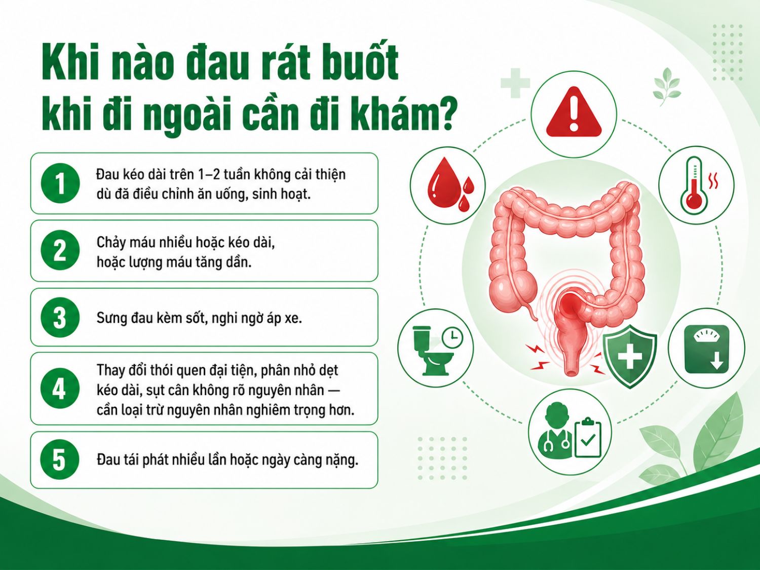 Nên đi khám nếu đau rát khi đi ngoài kéo dài trên 1–2 tuần, chảy máu nhiều, kèm sốt, sụt cân hoặc triệu chứng ngày càng nghiêm trọng.