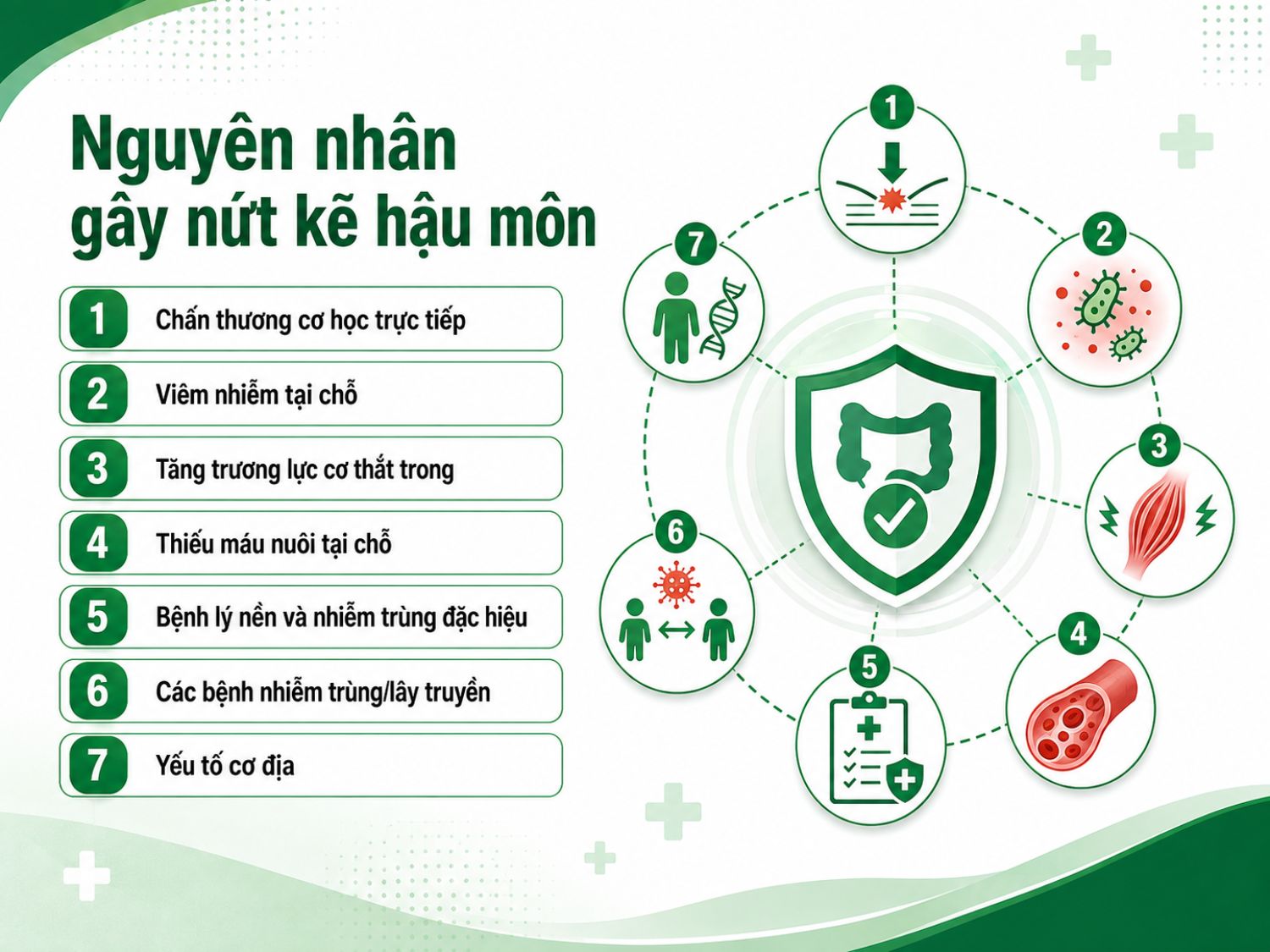 Nứt kẽ hậu môn có thể hình thành do táo bón, chấn thương khi đại tiện, viêm nhiễm, tăng co thắt cơ hoặc giảm lưu lượng máu nuôi tại chỗ.