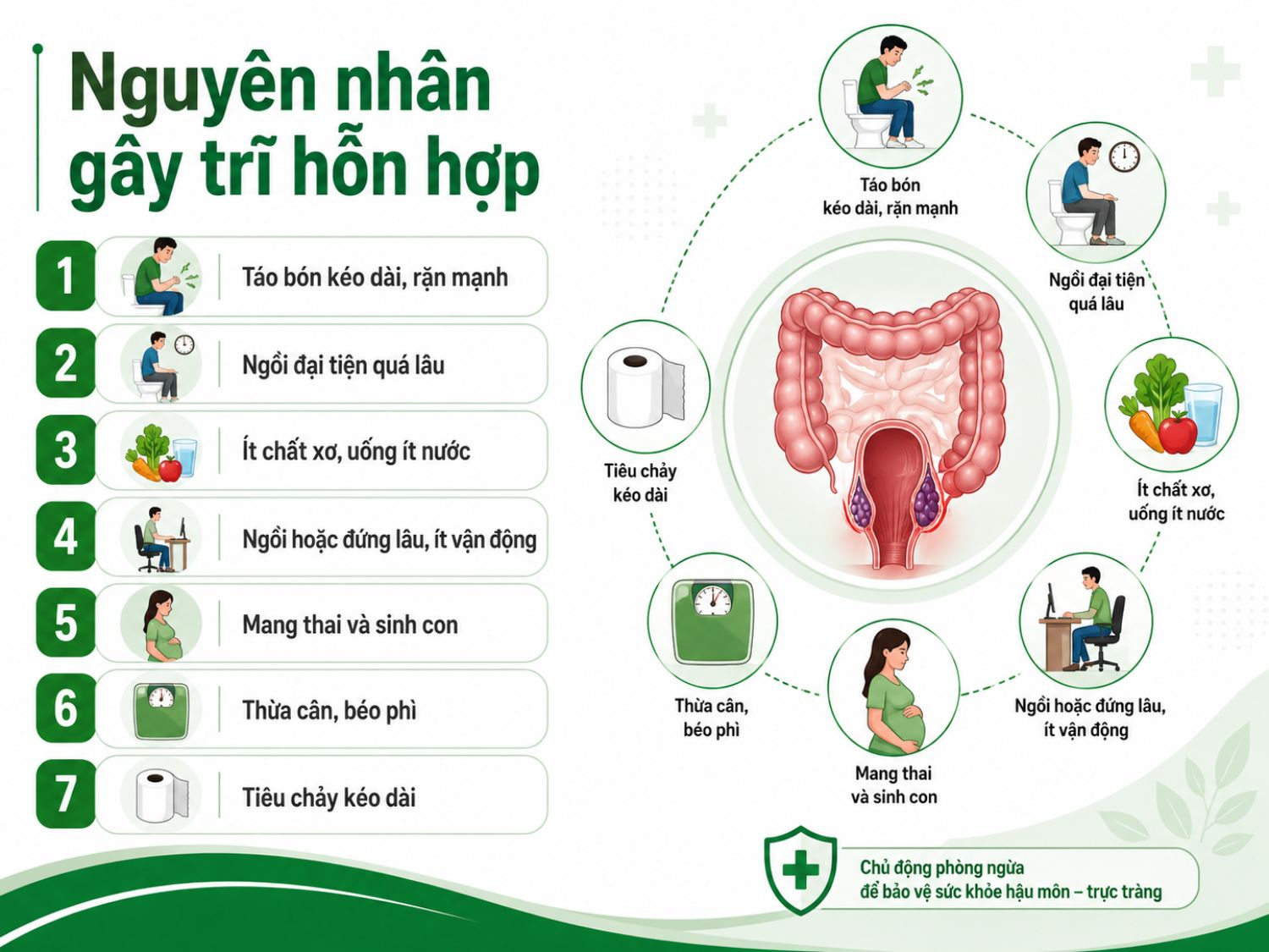 Các yếu tố làm tăng nguy cơ mắc trĩ hỗn hợp gồm táo bón kéo dài, rặn mạnh khi đại tiện, thói quen ngồi lâu, chế độ ăn thiếu chất xơ, uống ít nước, mang thai, thừa cân béo phì và tiêu chảy kéo dài.