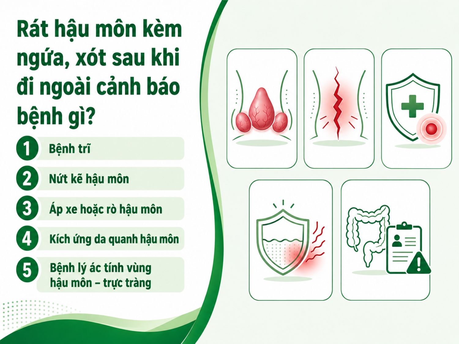 Rát hậu môn kèm ngứa, xót sau đại tiện có thể là dấu hiệu của nhiều bệnh lý từ trĩ, nứt kẽ hậu môn đến áp xe, rò hậu môn hoặc các tổn thương nghiêm trọng hơn ở vùng hậu môn – trực tràng.