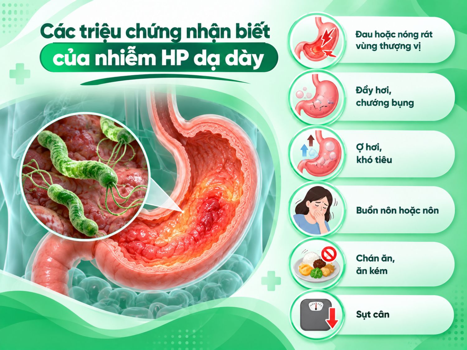 Một bác sĩ nội soi tiêu hóa cần có chuyên môn, kinh nghiệm và khả năng xử trí các tình huống trong quá trình thực hiện, đồng thời theo dõi người bệnh sau nội soi.