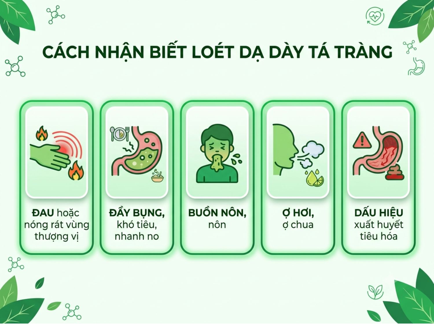 Dấu hiệu nhận biết loét dạ dày tá tràng gồm đau rát thượng vị, đầy bụng, buồn nôn