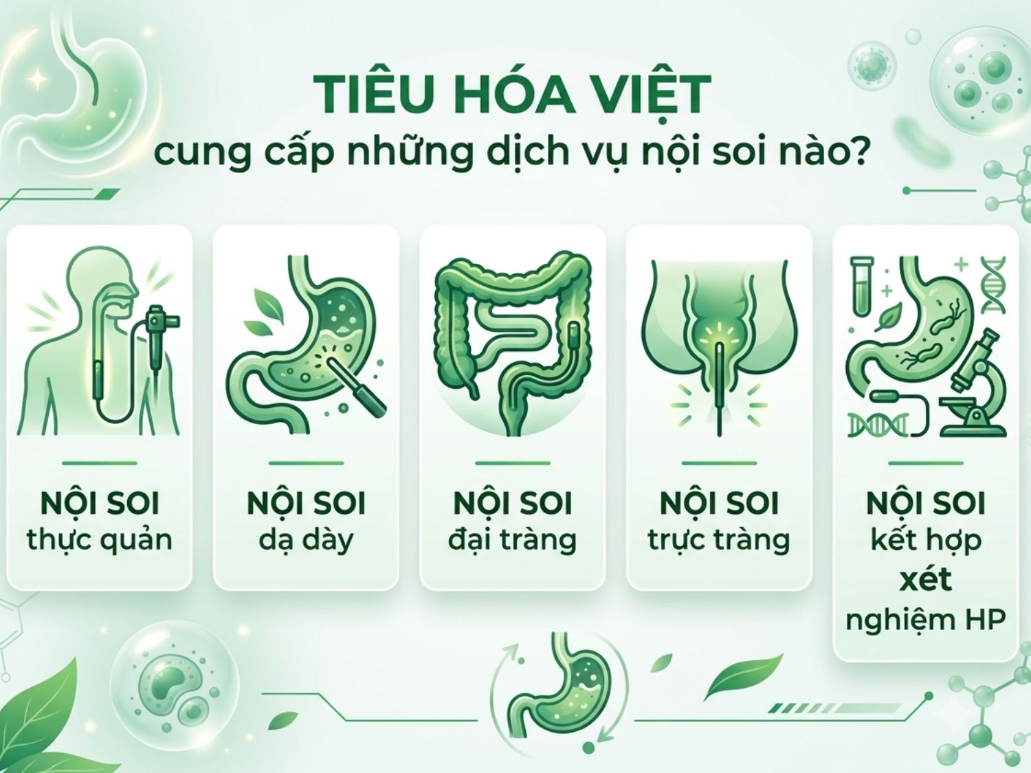 Tiêu Hóa Việt cung cấp đa dạng các dịch vụ nội soi chẩn đoán kỹ thuật cao: từ nội soi thực quản, dạ dày, đại tràng, trực tràng cho đến xét nghiệm HP nhanh chóng, chính xác