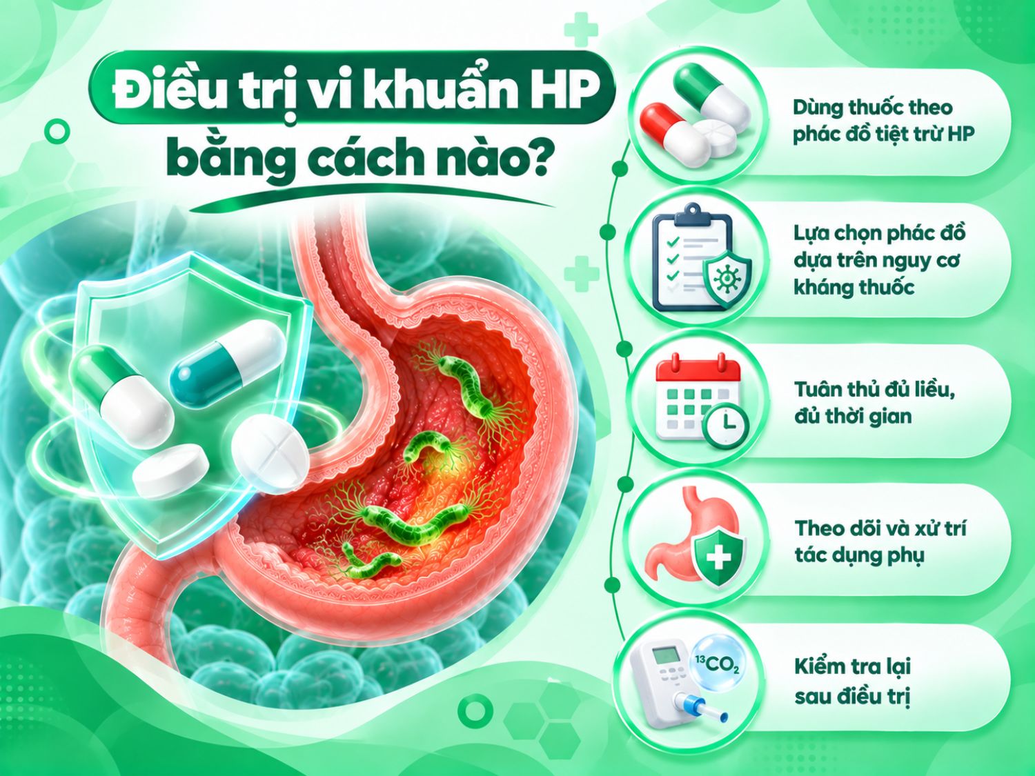 Điều trị HP cần lựa chọn phác đồ phù hợp, dùng thuốc đủ liều và đủ thời gian, theo dõi tác dụng phụ và kiểm tra lại để đánh giá kết quả sau điều trị.
