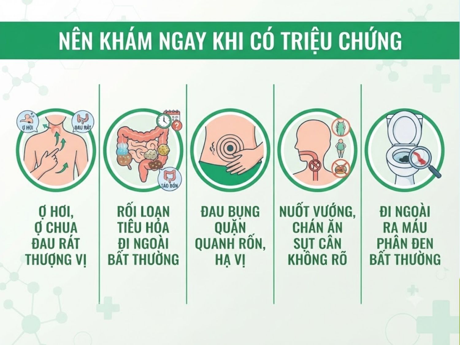 chọn combo tầm soát tiêu hóa khi có các tình trạng ợ chua, chóng mặt, sụt cân...