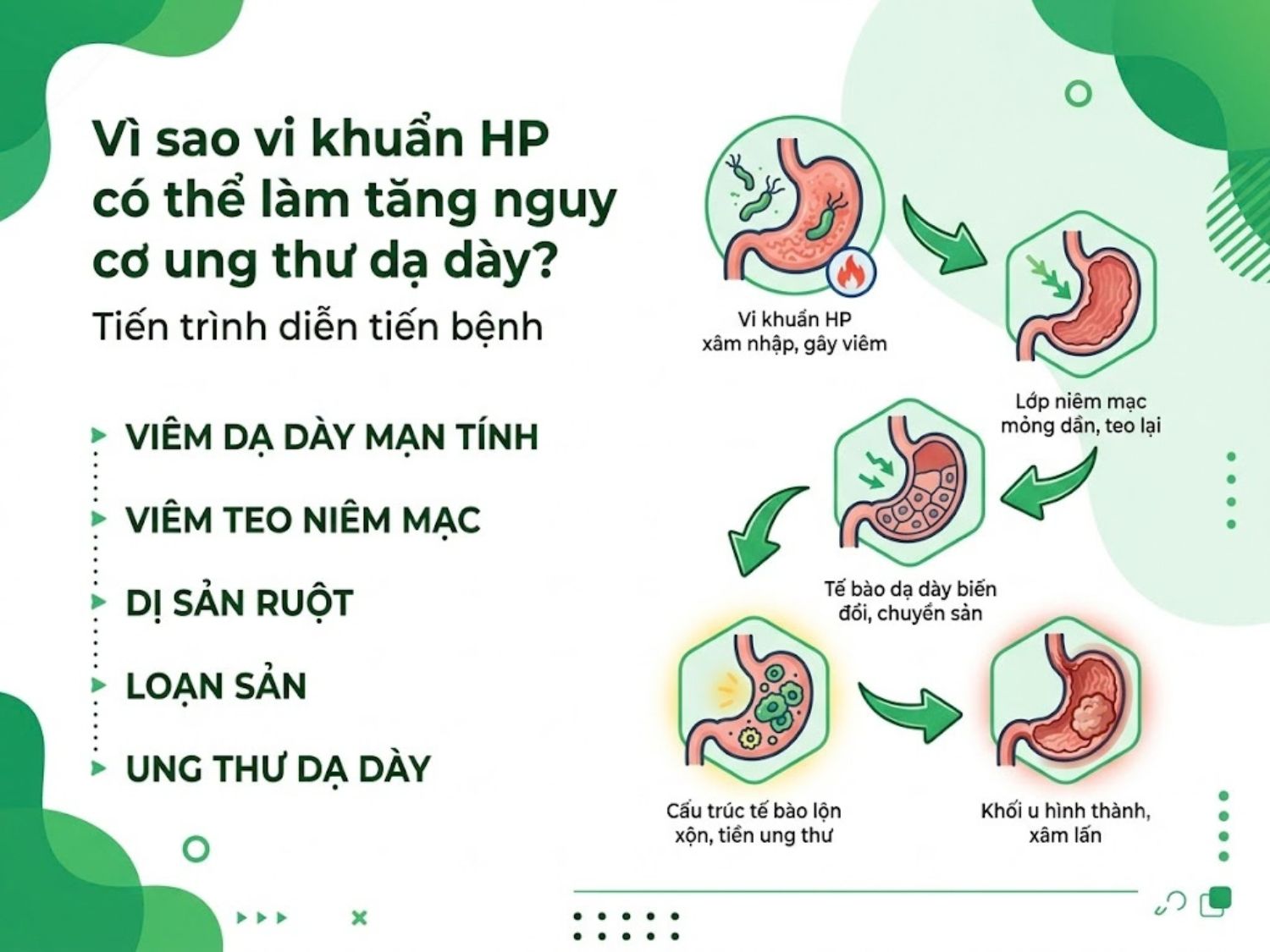 Tổng hợp các yếu tố nguy cơ khiến nhiễm vi khuẩn HP tiến triển thành ung thư dạ dày, bao gồm cả yếu tố chủ quan (lối sống) và khách quan (di truyền, chủng vi khuẩn).