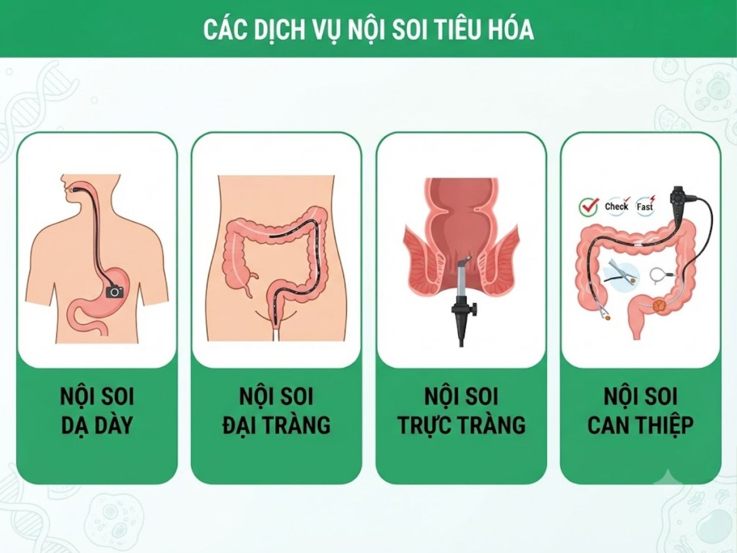nội soi dạ dày, nội soi đại tràng, nội soi trực tràng và các thủ thuật nội soi can thiệp là các dịch vụ phổ biến