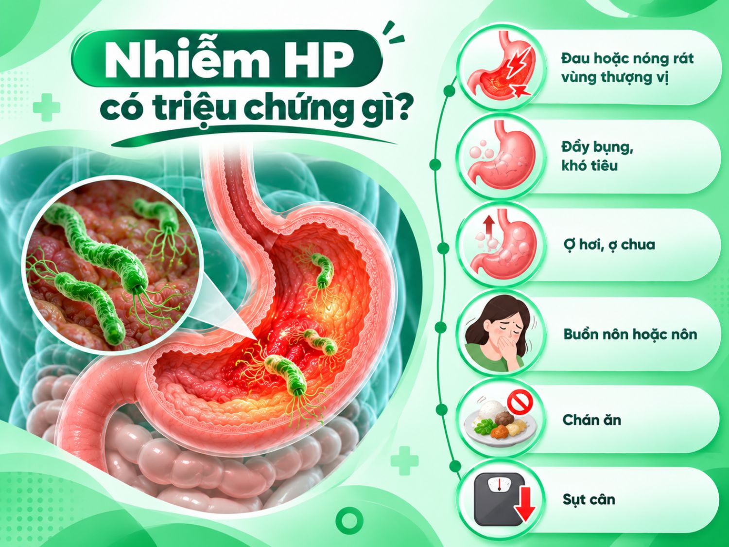 Nhiễm HP có thể biểu hiện bằng các triệu chứng tiêu hóa như đau hoặc nóng rát thượng vị, đầy bụng, khó tiêu, ợ hơi, ợ chua, buồn nôn, chán ăn và sụt cân.