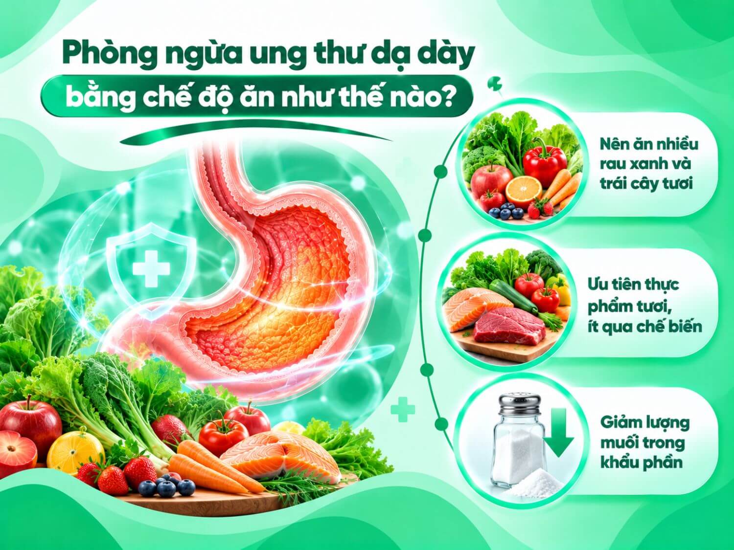 Chế độ ăn lành mạnh với nhiều rau xanh, trái cây tươi, thực phẩm ít qua chế biến và hạn chế muối góp phần bảo vệ sức khỏe dạ dày.
