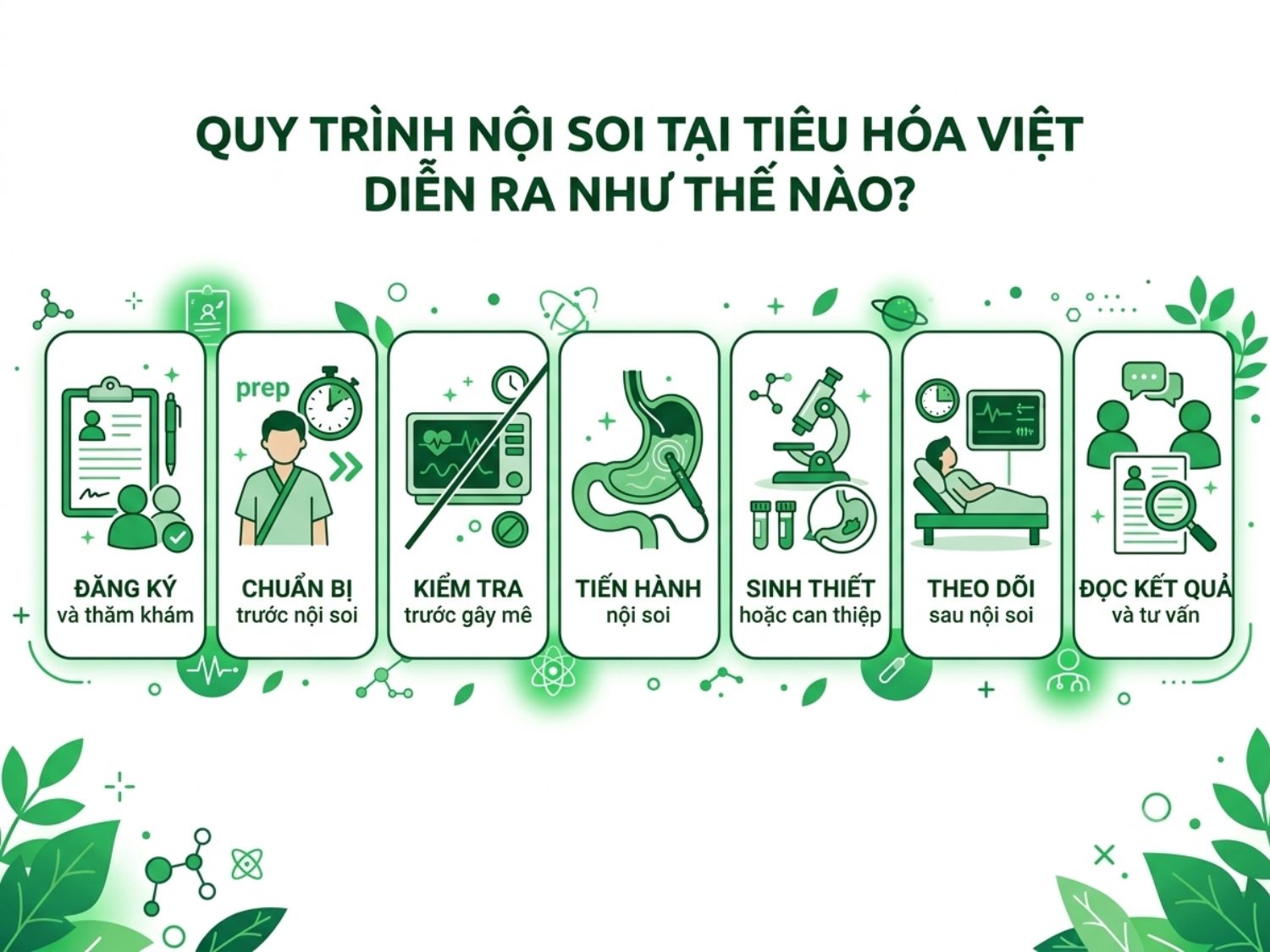 Tìm hiểu quy trình nội soi 7 bước chuyên nghiệp tại Tiêu Hóa Việt: Đăng ký thăm khám, chuẩn bị, kiểm tra gây mê, tiến hành nội soi, sinh thiết/can thiệp khi cần, theo dõi hồi phục và trả kết quả tư vấn chi tiết