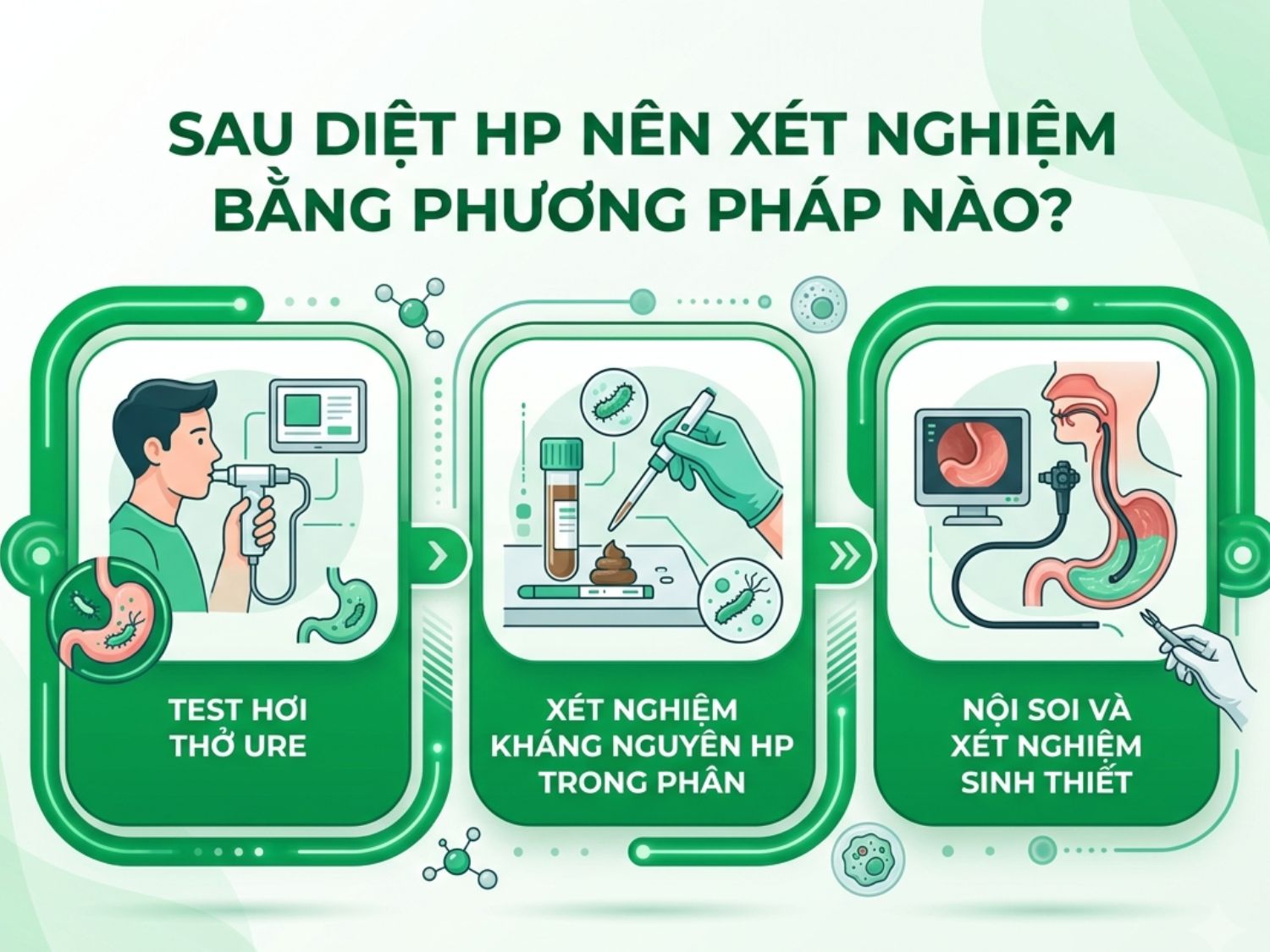 Sau khi hoàn thành phác đồ điều trị diệt vi khuẩn HP, người bệnh cần thực hiện xét nghiệm kiểm tra lại (bằng test hơi thở, xét nghiệm phân hoặc nội soi sinh thiết) để đảm bảo vi khuẩn đã được loại bỏ hoàn toàn.