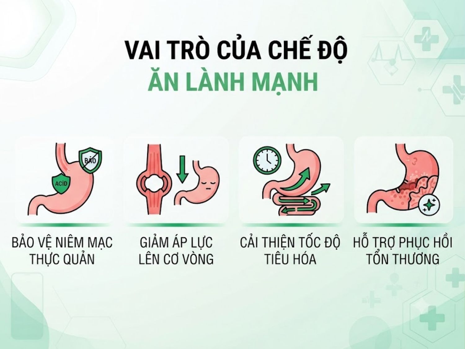 bảo vệ niêm mạc thực quản, giảm áp lực lên cơ vòng thực quản dưới, cải thiện tốc độ tiêu hóa và hỗ trợ phục hồi tổn thương do axit gây ra là vai trò khi ăn uống tốt
