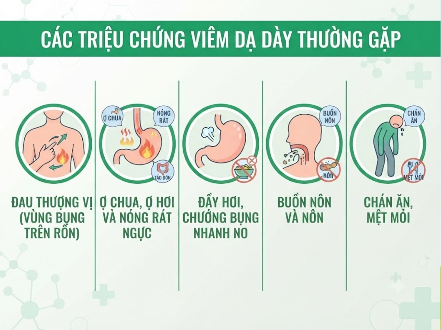 đau thượng vị, ợ chua, đầy hơi, buồn nôn, chán ăn là triệu chứng viêm dạ dày