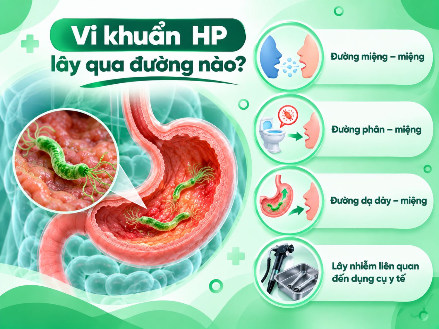 Vi khuẩn HP có thể lây truyền qua đường miệng – miệng, phân – miệng, dạ dày – miệng và trong một số trường hợp liên quan đến dụng cụ y tế.