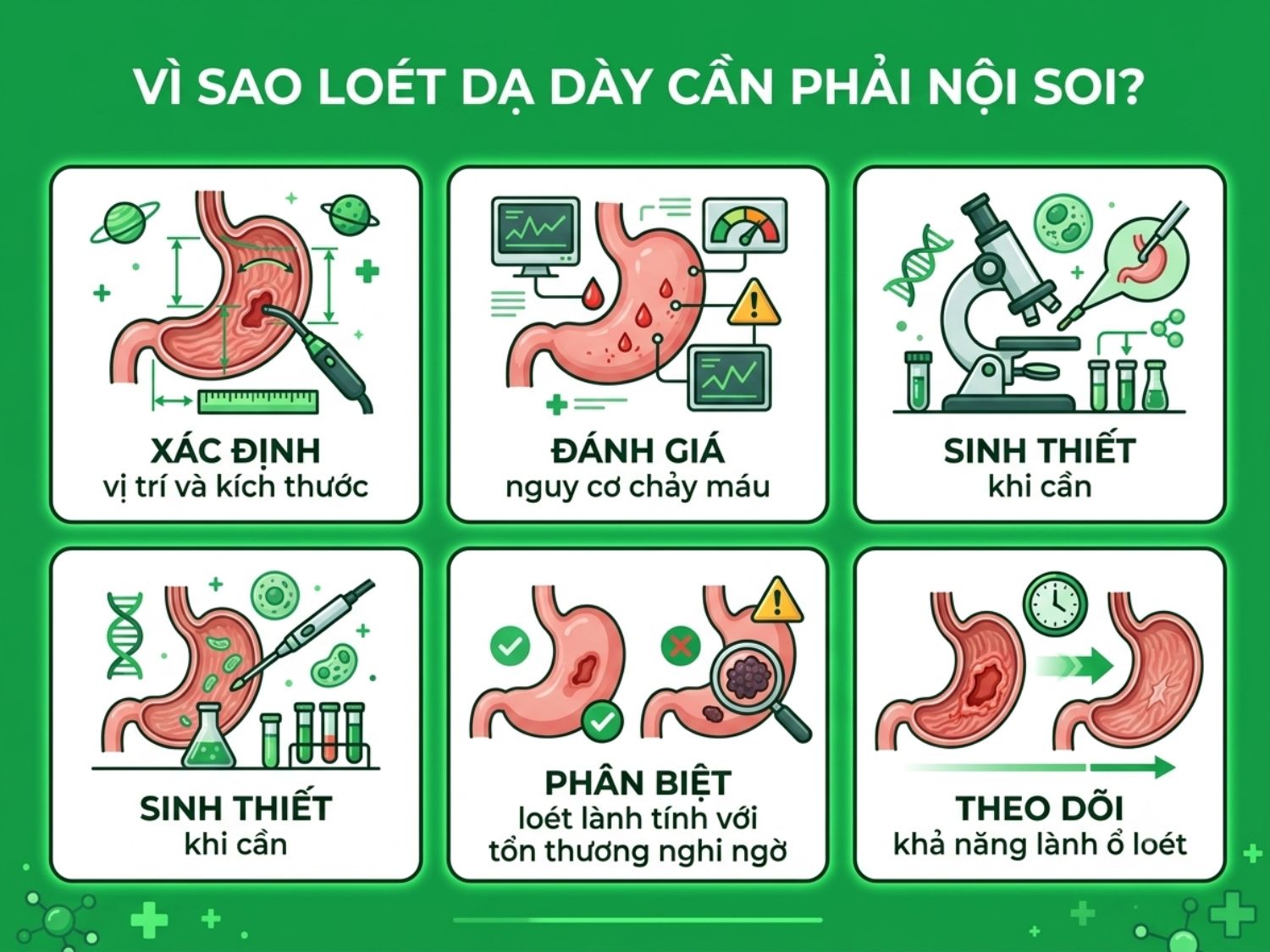 Nội soi loét dạ dày giúp xác định vị trí, kích thước và mức độ của vết loét