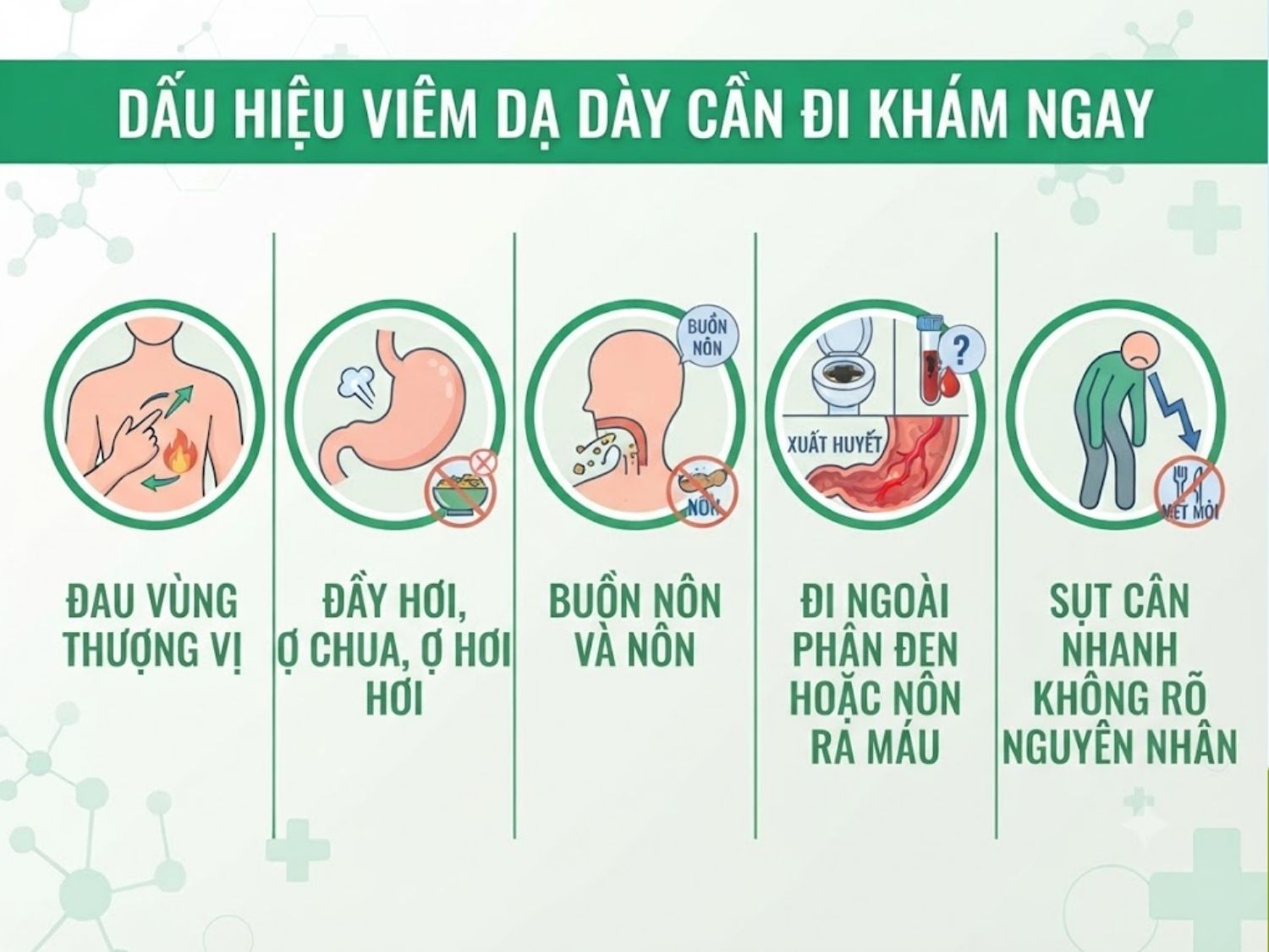 đau vùng thượng vị, đầy hơi ợ chua, buồn nôn, đi ngoài phân đen hoặc nôn ra máu, cùng tình trạng sụt cân nhanh là dấu hiệu cần đi khám