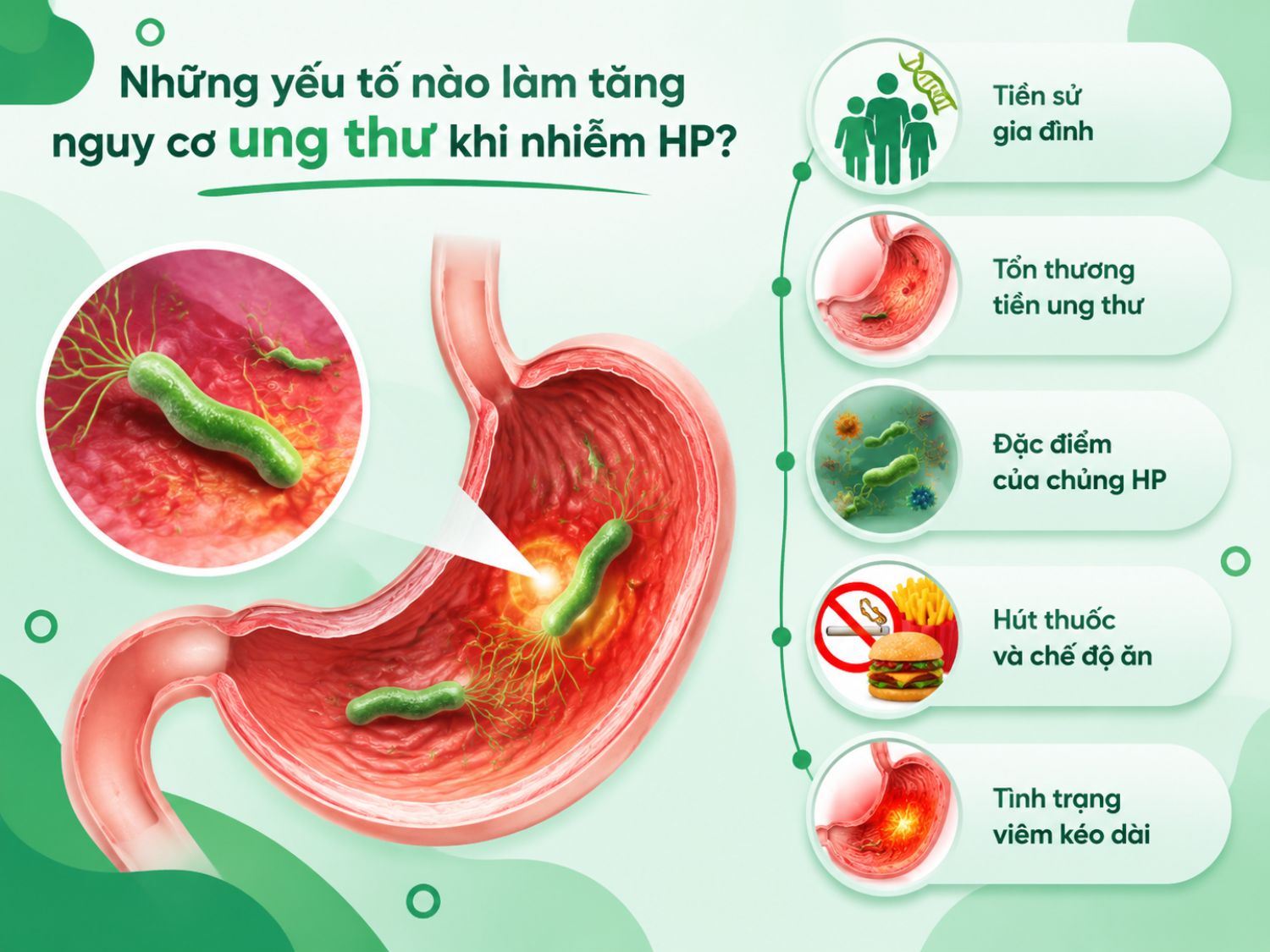 Nhiễm vi khuẩn HP không phải lúc nào cũng dẫn đến ung thư dạ dày, nhưng một số yếu tố như tiền sử gia đình, tổn thương tiền ung thư, đặc điểm chủng HP, thói quen hút thuốc, chế độ ăn và tình trạng viêm kéo dài có thể làm tăng nguy cơ cần được theo dõi.