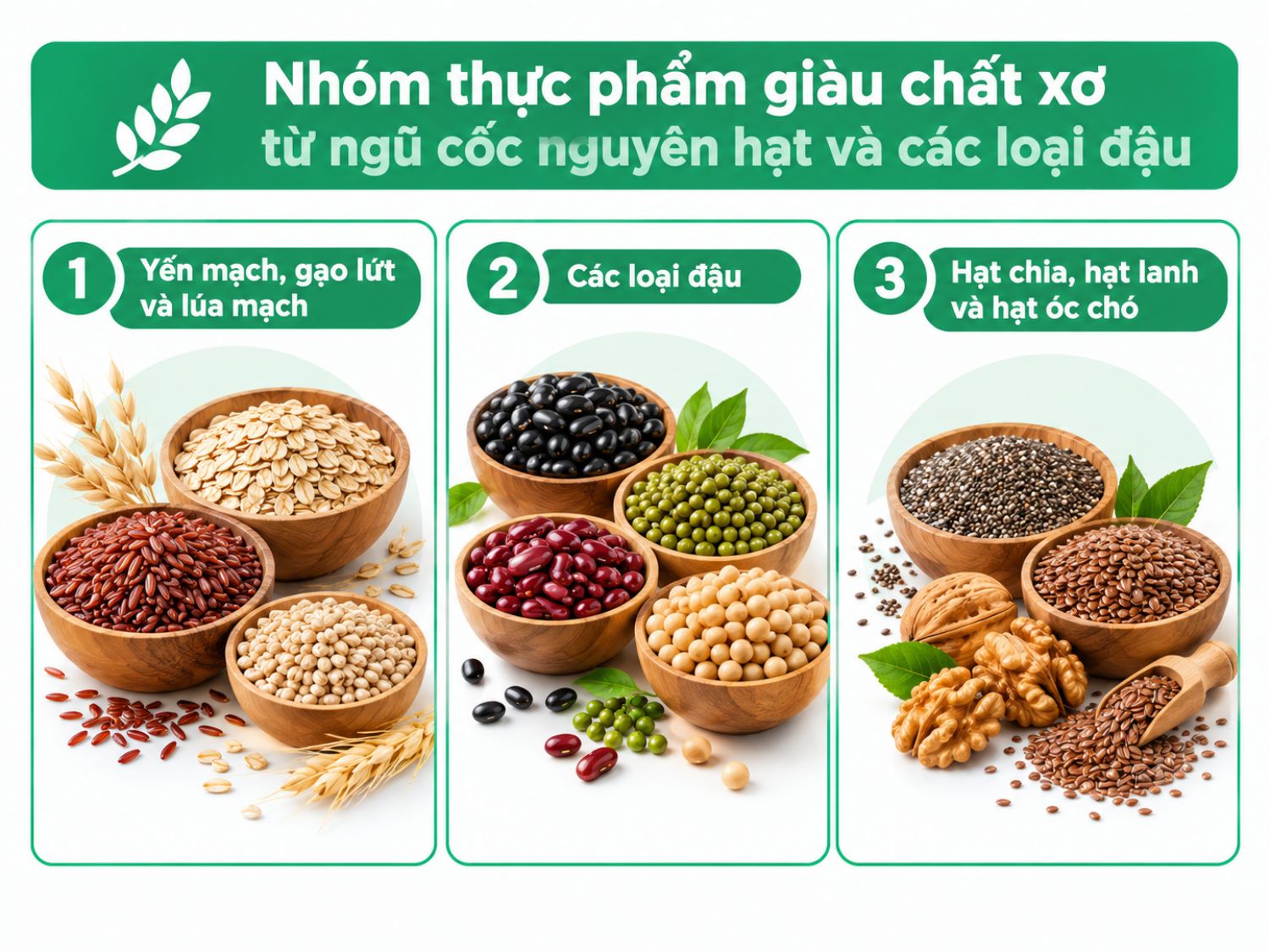 ảnh mô tả Nhóm thực phẩm giàu chất xơ từ ngũ cốc nguyên hạt và các loại đậu
