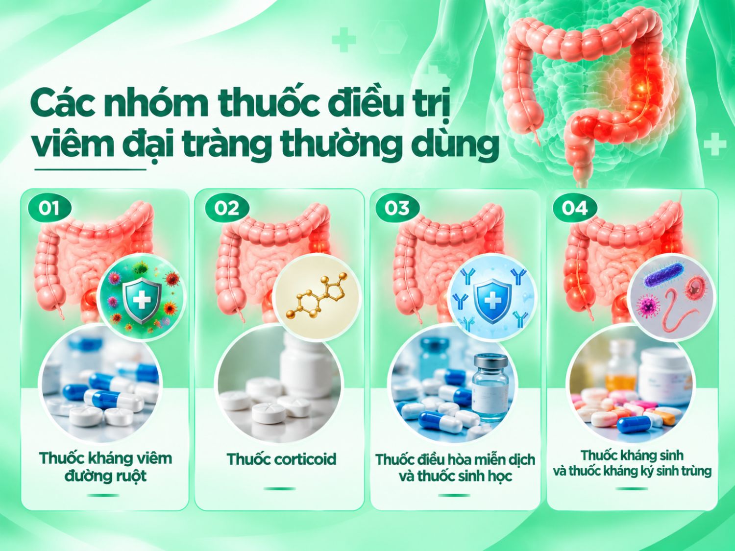 Các nhóm thuốc được sử dụng trong điều trị viêm đại tràng có thể bao gồm thuốc kháng viêm đường ruột, corticoid, thuốc điều hòa miễn dịch, thuốc sinh học và thuốc điều trị nhiễm trùng khi có chỉ định. Bác sĩ sẽ lựa chọn phác đồ dựa trên chẩn đoán, mức độ bệnh và tình trạng sức khỏe của từng người.
