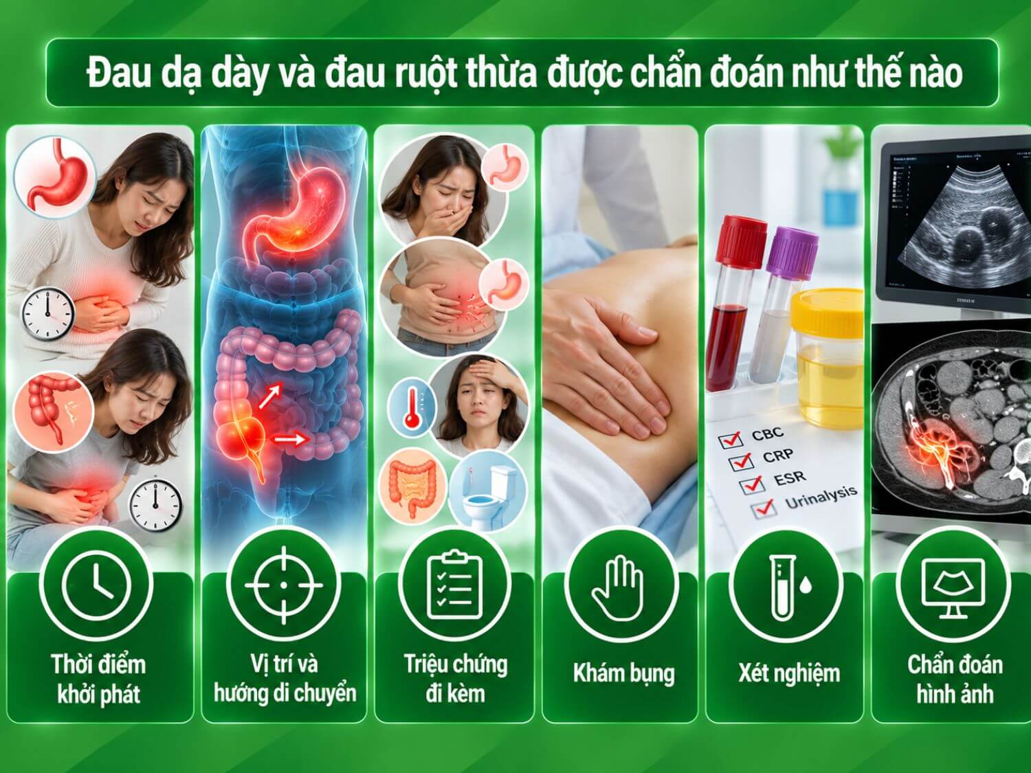 Bác sĩ phân biệt đau dạ dày và đau ruột thừa dựa trên thời điểm khởi phát, vị trí và hướng di chuyển của cơn đau, triệu chứng đi kèm, khám bụng, xét nghiệm và chẩn đoán hình ảnh.