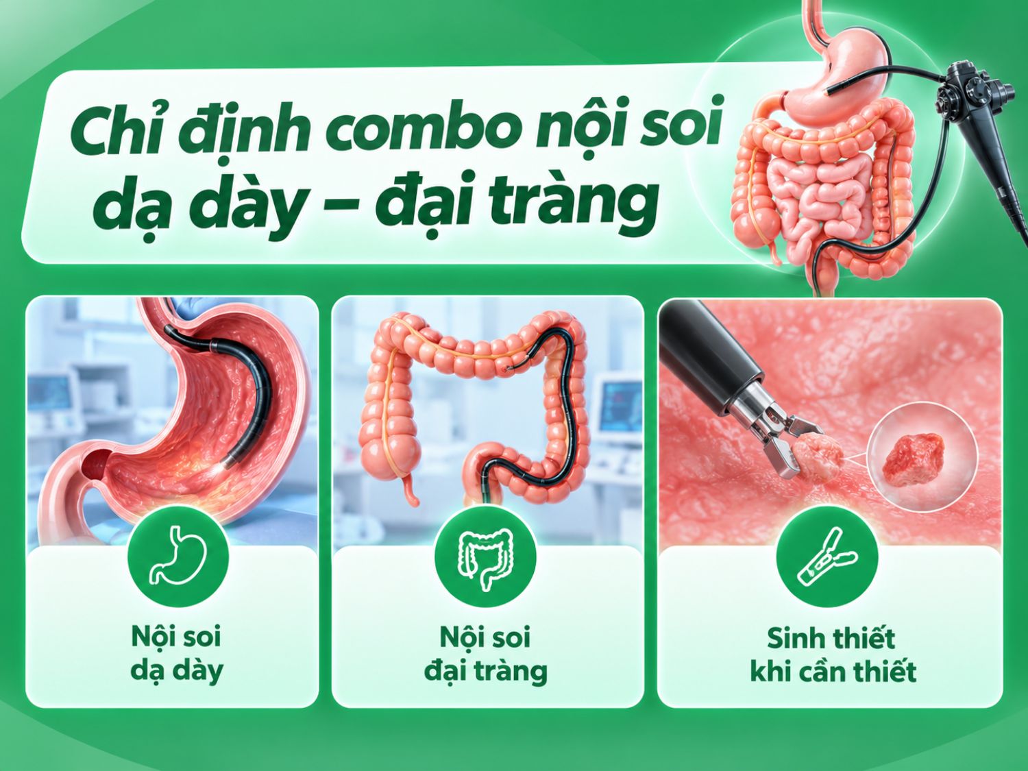 Combo nội soi dạ dày – đại tràng giúp bác sĩ quan sát niêm mạc đường tiêu hóa trên và dưới, phát hiện các tổn thương bất thường và lấy mẫu sinh thiết khi có chỉ định.