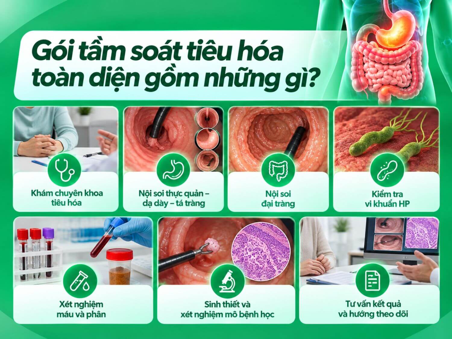 Gói tầm soát tiêu hóa toàn diện có thể bao gồm khám chuyên khoa, nội soi thực quản – dạ dày – tá tràng, nội soi đại tràng, kiểm tra vi khuẩn HP, xét nghiệm máu và phân. Bác sĩ có thể chỉ định sinh thiết, xét nghiệm mô bệnh học khi cần thiết và tư vấn hướng theo dõi dựa trên kết quả thăm khám.