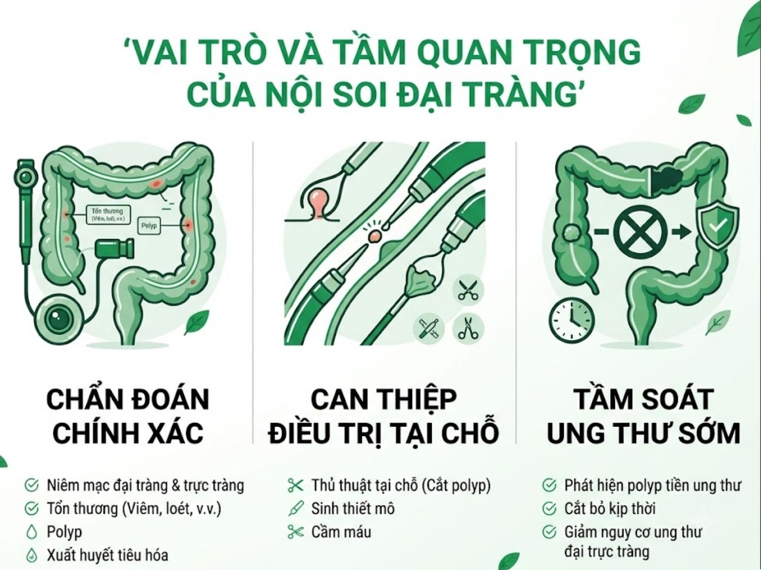 ảnh mô tả Vai trò và tầm quan trọng khi nội soi đại tràng