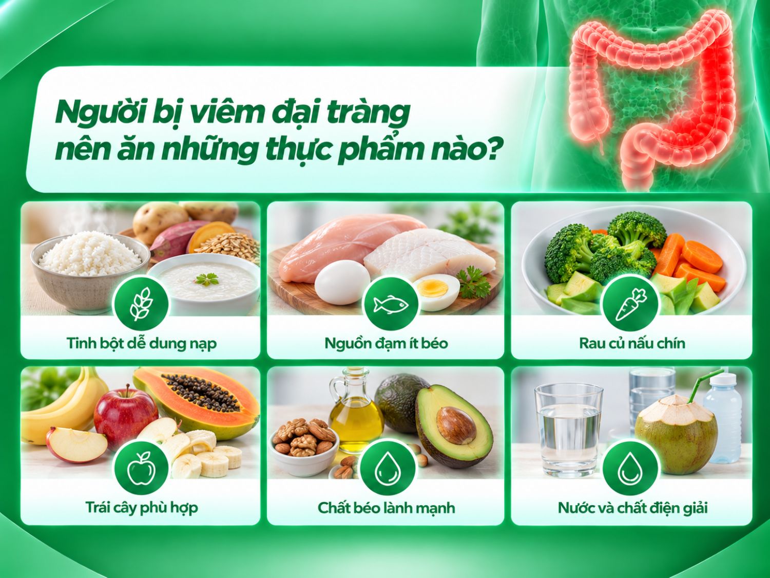 Người bị viêm đại tràng nên ưu tiên thực phẩm dễ tiêu hóa, cung cấp đủ dinh dưỡng như cơm, cháo, thịt nạc, cá, trứng, rau củ nấu chín và trái cây phù hợp. Đồng thời, cần bổ sung đủ nước, chất điện giải khi cần thiết và điều chỉnh chế độ ăn theo triệu chứng, khả năng dung nạp của từng người.