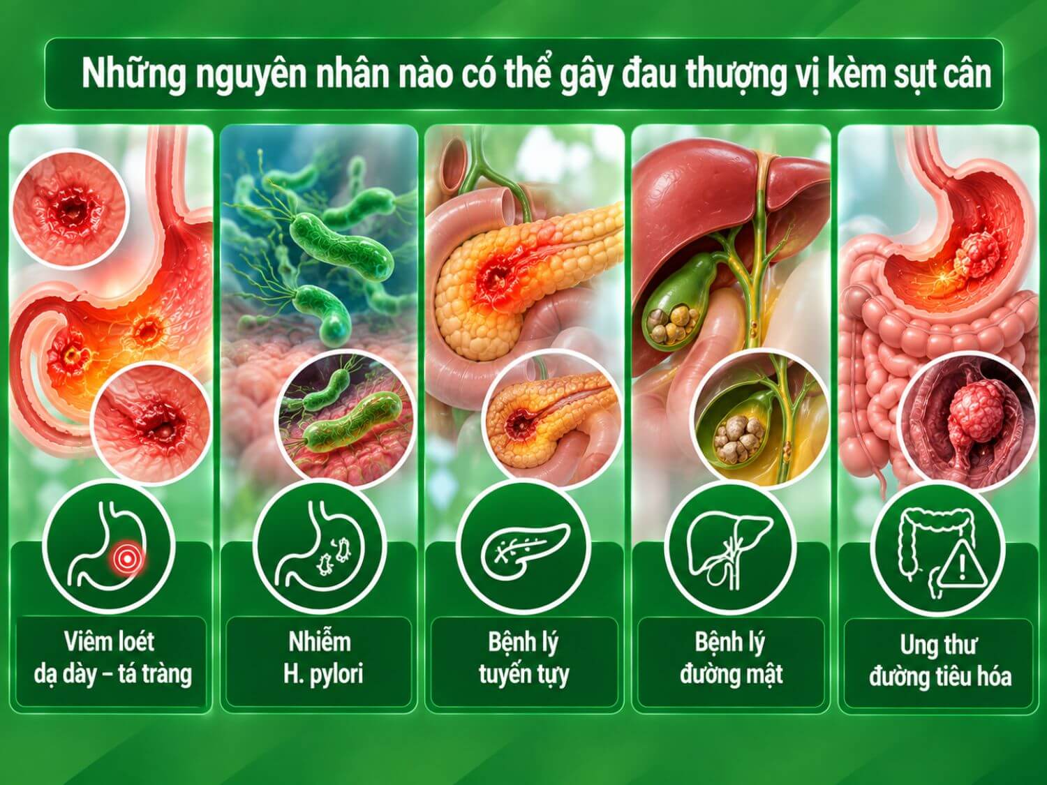 Đau thượng vị kèm sụt cân có thể liên quan đến viêm loét dạ dày – tá tràng, nhiễm H. pylori, bệnh lý tuyến tụy, đường mật hoặc một số bệnh lý ác tính đường tiêu hóa.