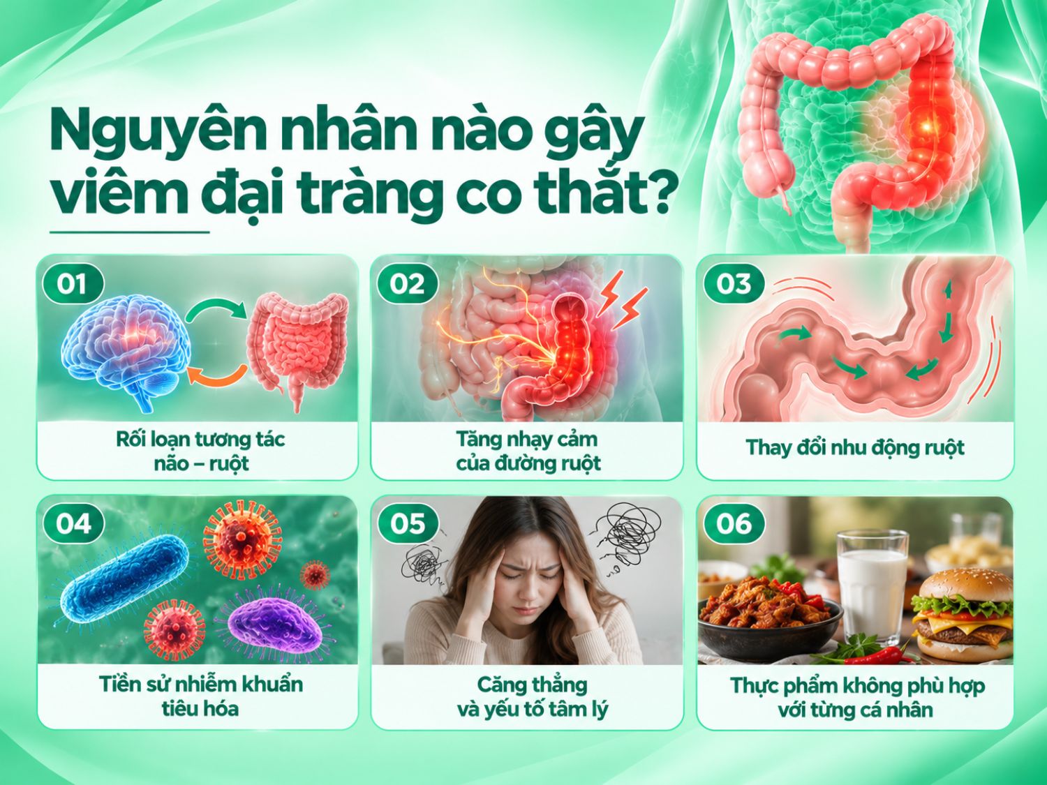 Hội chứng ruột kích thích có liên quan đến nhiều yếu tố như rối loạn tương tác não – ruột, tăng nhạy cảm đường ruột, thay đổi nhu động, tiền sử nhiễm khuẩn tiêu hóa và căng thẳng kéo dài. Một số thực phẩm cũng có thể làm triệu chứng xuất hiện hoặc nặng hơn tùy cơ địa từng người.