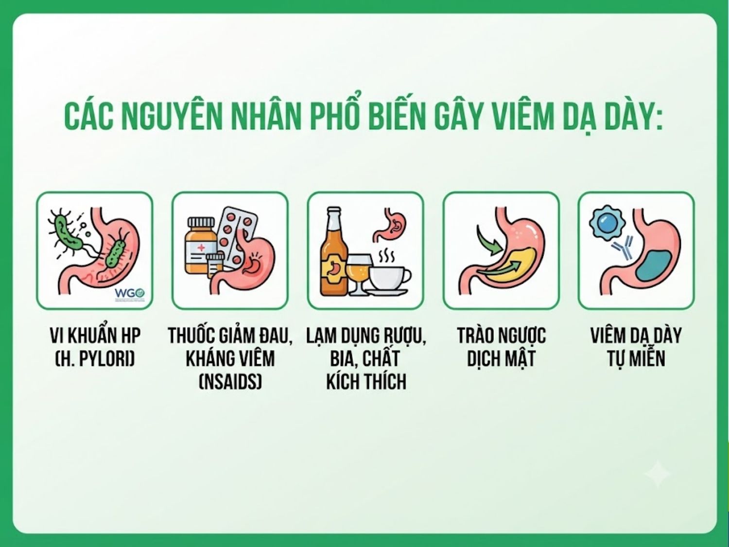 đau rát thượng vị, ợ chua, buồn nôn, đầy hơi; viêm cấp thường xuất hiện đột ngột, còn viêm mạn tính tiến triển kéo dài là nguyên nhân viêm dạ dày