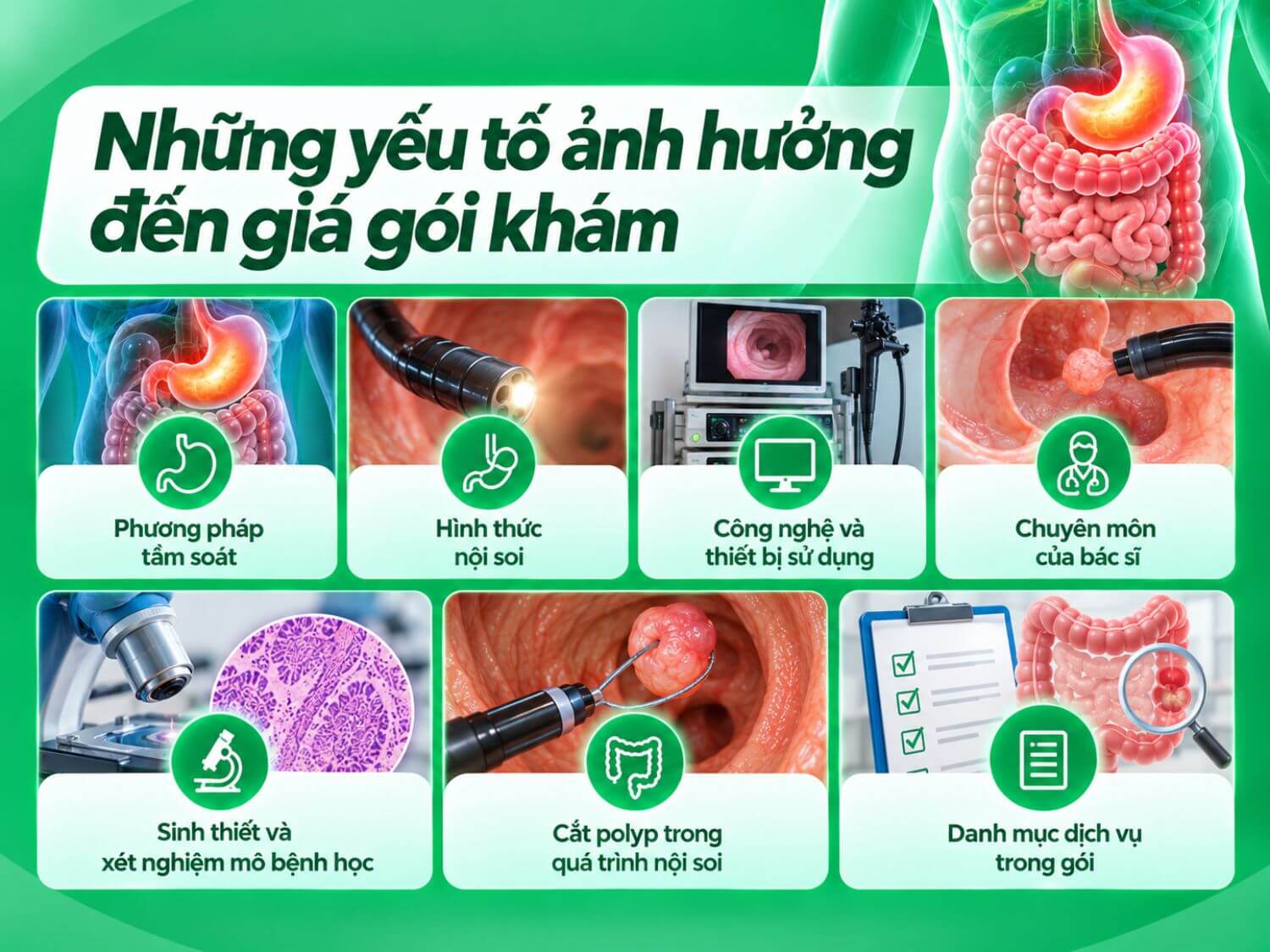 Chi phí gói khám tầm soát tiêu hóa có thể khác nhau tùy theo phương pháp kiểm tra, hình thức nội soi, thiết bị sử dụng và chuyên môn bác sĩ. Các thủ thuật phát sinh như sinh thiết, xét nghiệm mô bệnh học hoặc cắt polyp cũng có thể ảnh hưởng đến tổng chi phí.